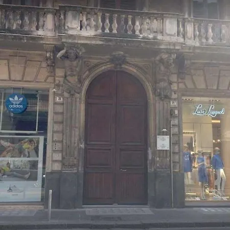 Alexander House 호텔